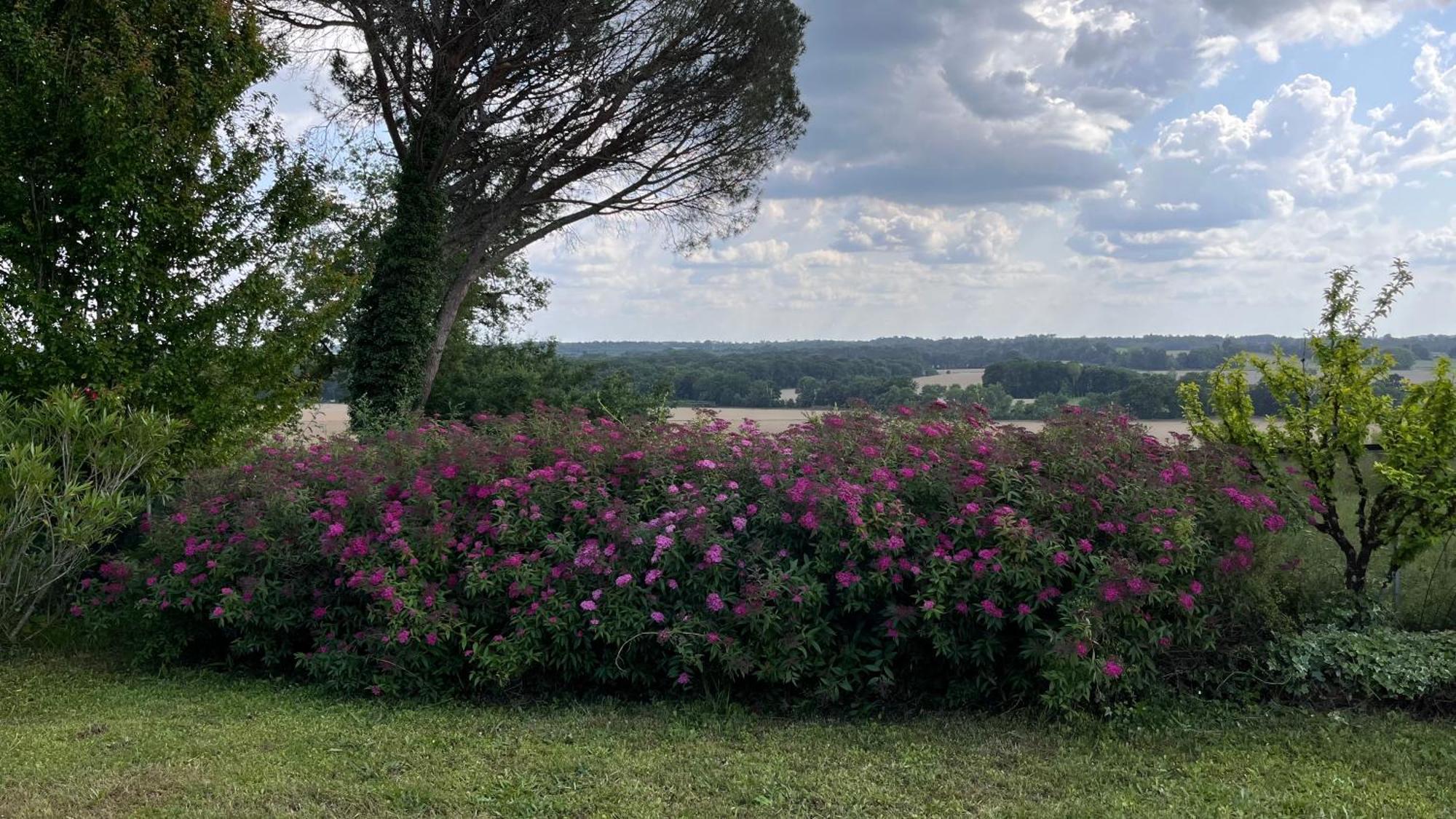 Metairie De Moutiques Villa Cazaubon Luaran gambar